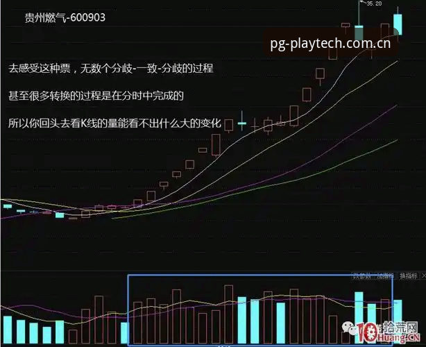 PG电子游戏平台注册评测 沪京G4战术复盘:上海队晋级策略深度解析操作教程